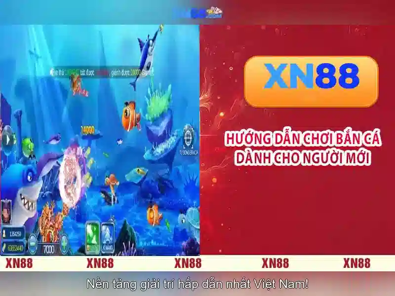 Cách tham gia và trải nghiệm\n\n