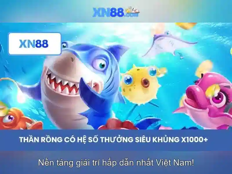 Giới thiệu về xn88