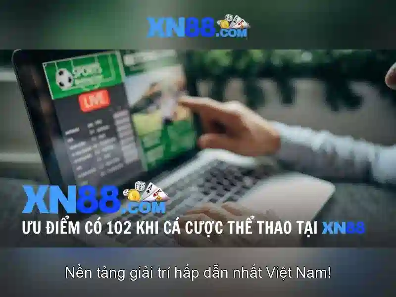 Thanh toán và kết nối của người dùng
