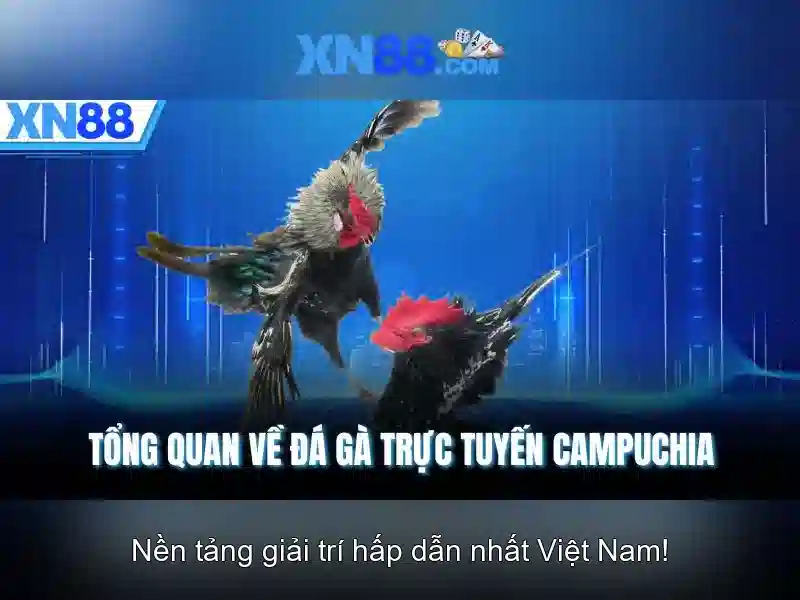 xn88 là gì? Khám phá nền tảng cược trực tuyến xn88