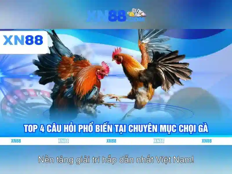 Giao diện nhà cái hoàn hảo