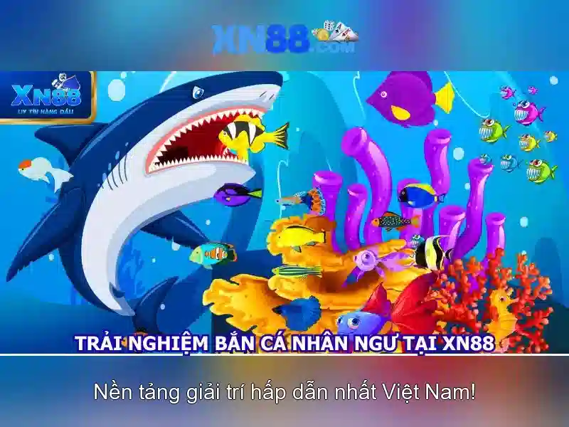 Giao diện nhà cái hoàn hảo