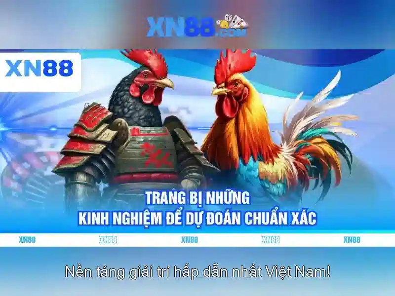 Giao diện nhà cái hoàn hảo