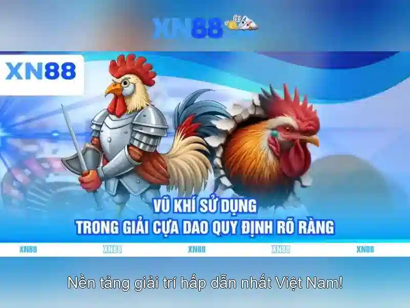 Giới thiệu về xn88