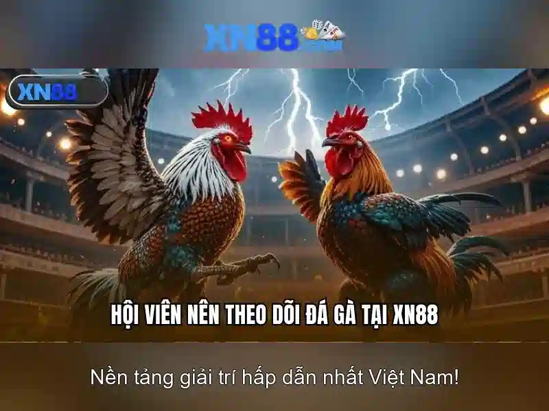 Khía cạnh an toàn và pháp lý