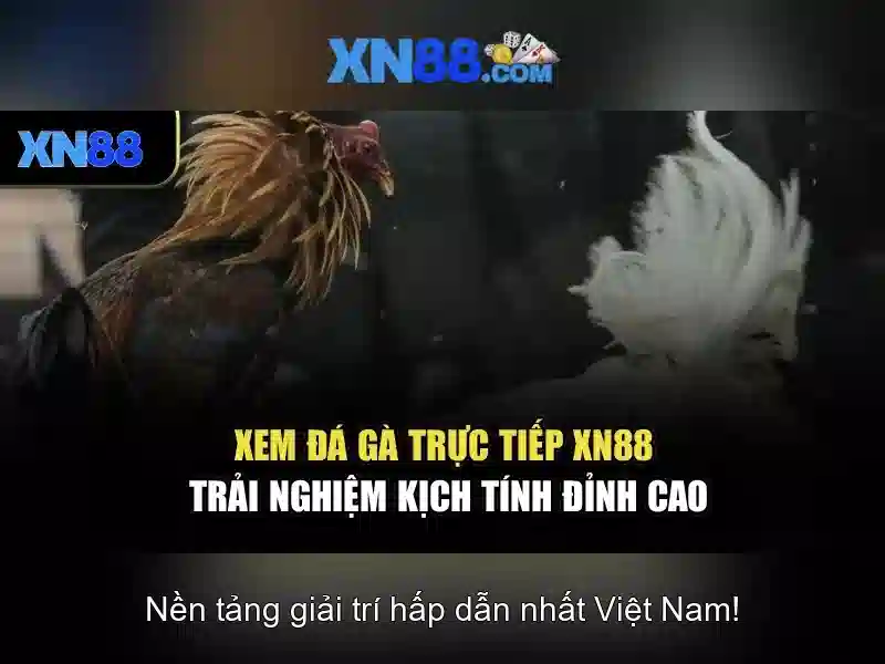 https://corpobellomedicalspa.com.co/images/text/xn88/xn88-text260331483.webp Một số sản phẩm và dịch vụ