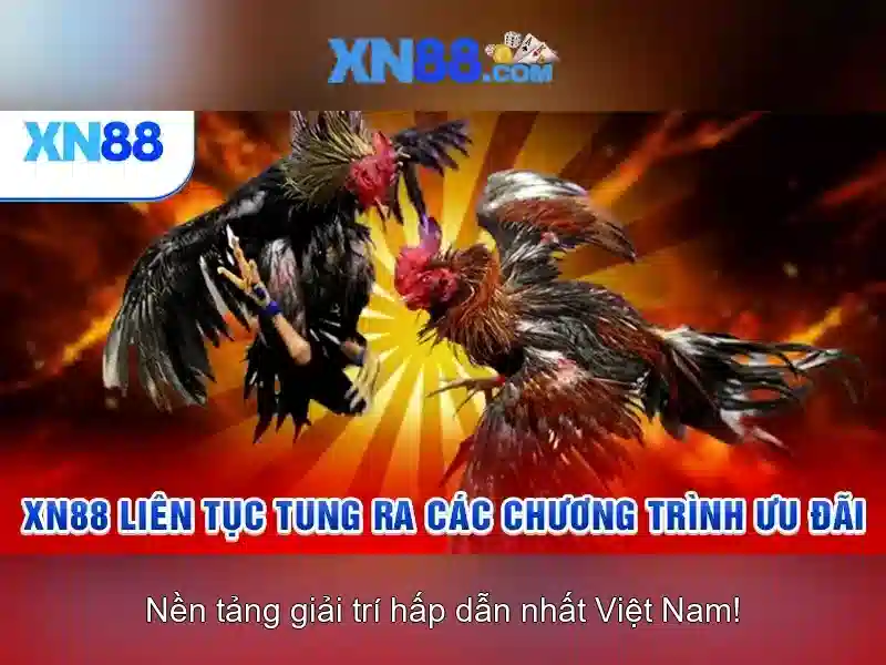 Lịch sử và phát triển