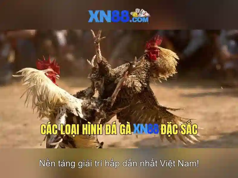 đăng nhập xn88 – Tổng quan về chủ đề và giá trị cốt lõi