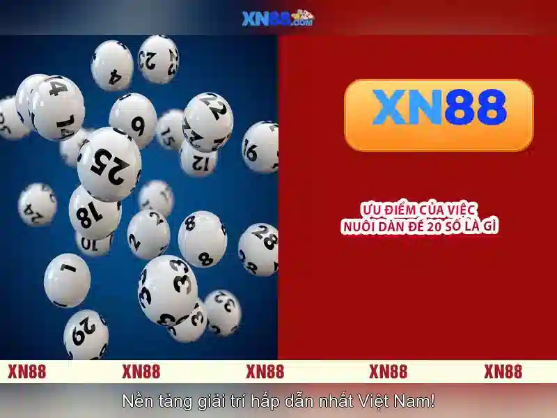 Giao diện nhà cái hoàn hảo