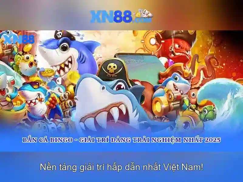 Tổng quan về xn88
