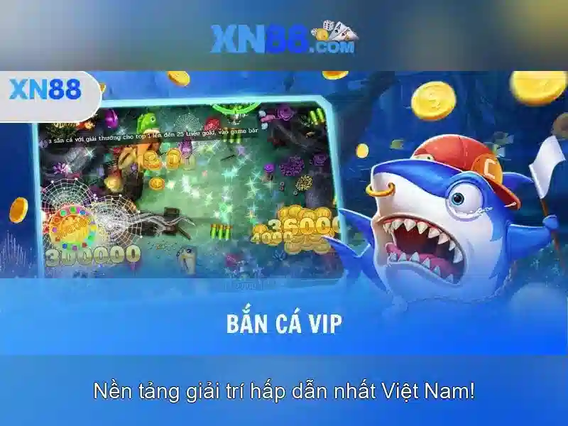Quy định và an toàn khi chơi
