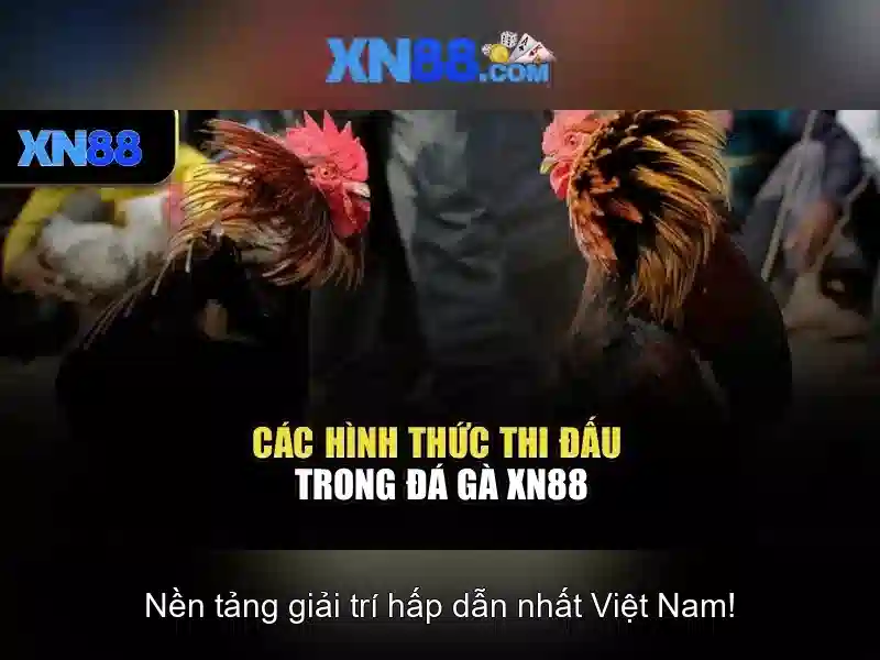 Các tính năng nổi bật\n