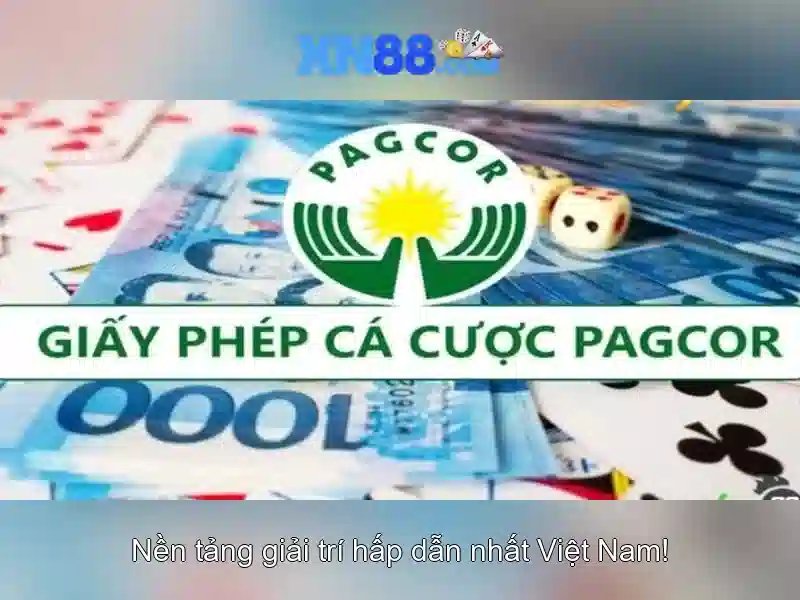 Xn88 là gì? Khám phá nền tảng trò chơi trực tuyến
