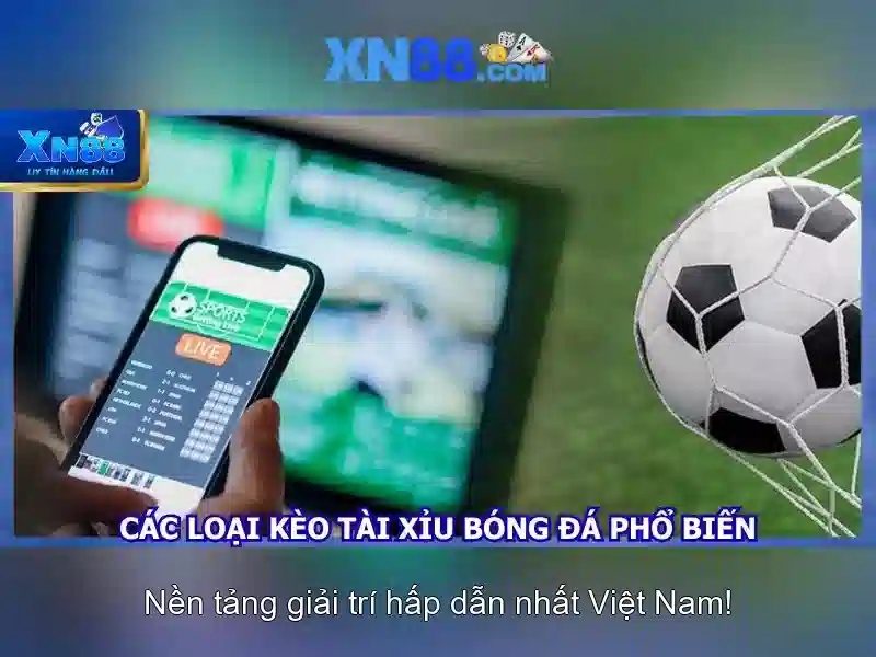 Giới thiệu về xn88\n
