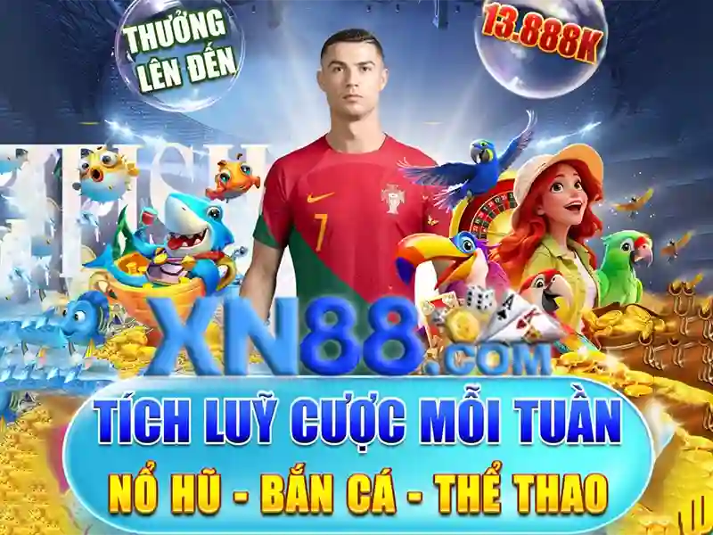 xn88 fit: Đột phá trải nghiệm và giá trị thương hiệu