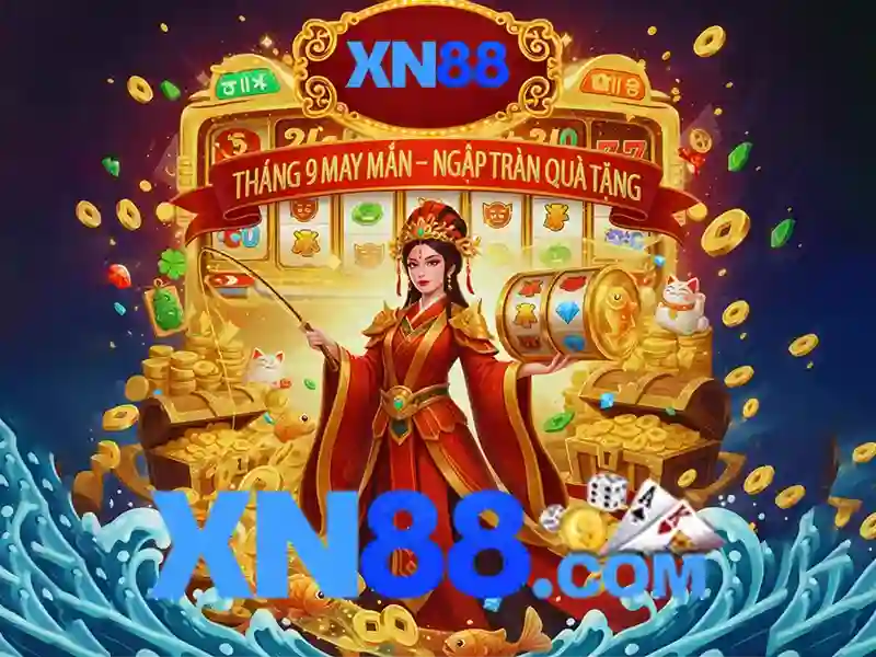 Nền tảng và trải nghiệm người dùng\n\n