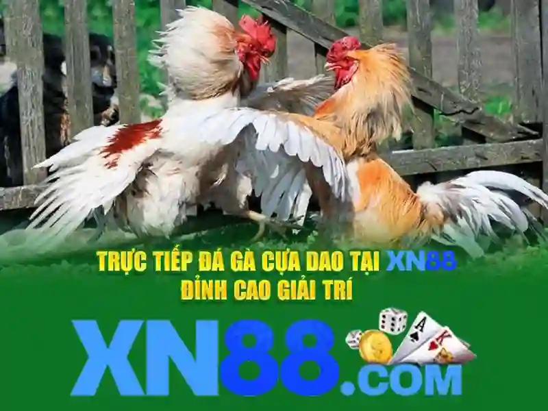 tai app xn88 – Trải nghiệm đỉnh cao cùng xn88 nhà cái